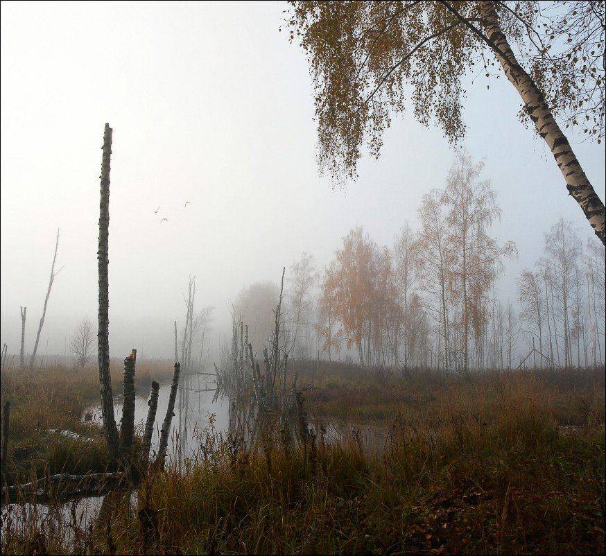 , Вадим Никифоров