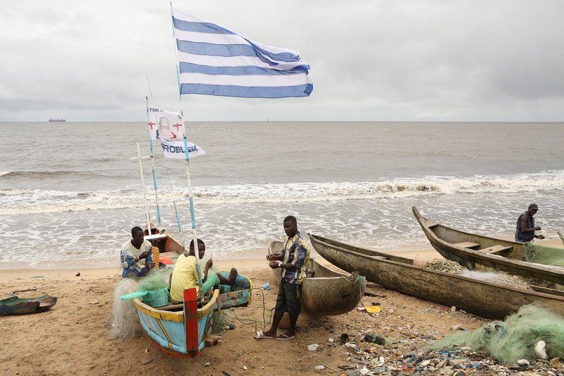 Ремонтирующие сети фото превью