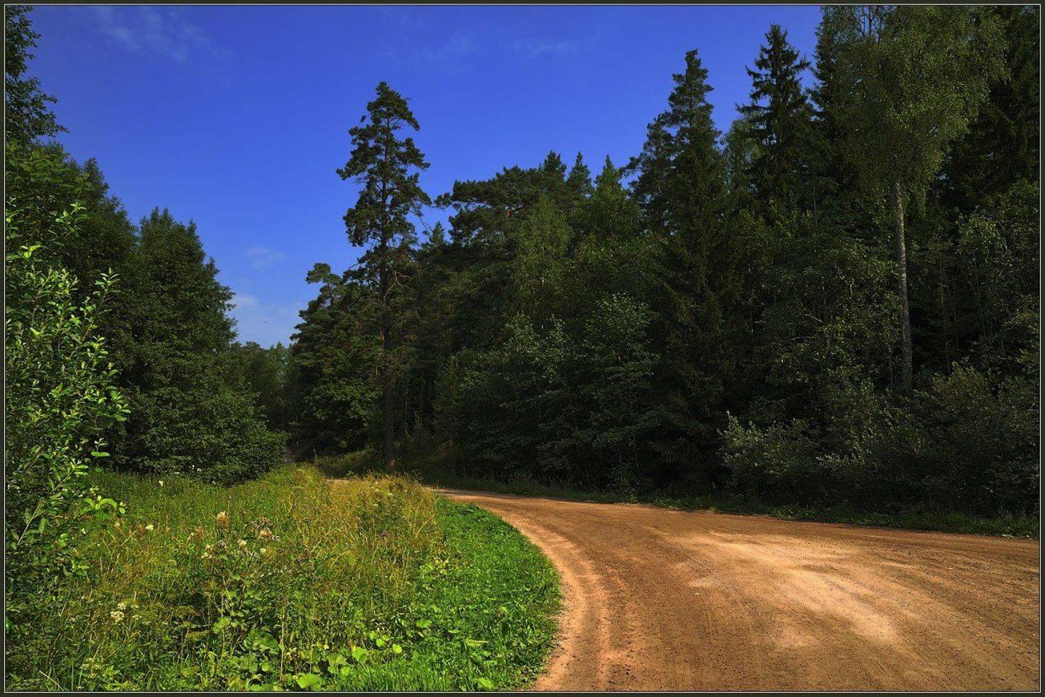 остров, валаам, дорога, лес, небо, Евгений Иванюшенко