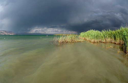 Перед грозой