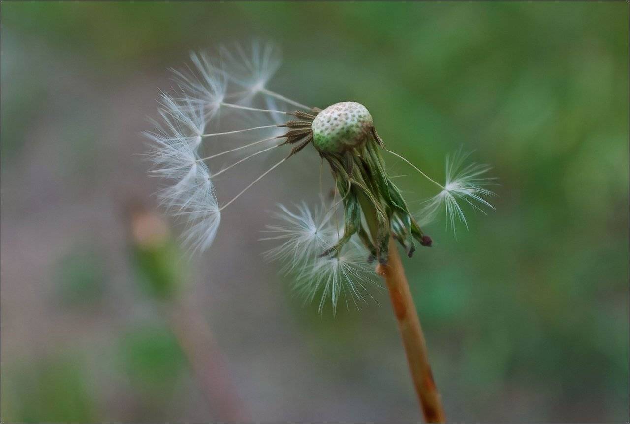 природа, философия, Геннадий Меремьянин