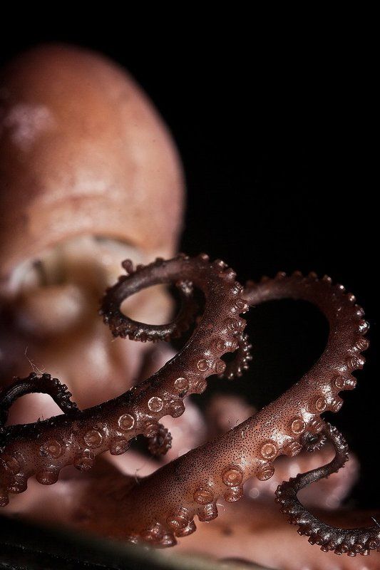 Без пяти минут – Салат! фото превью