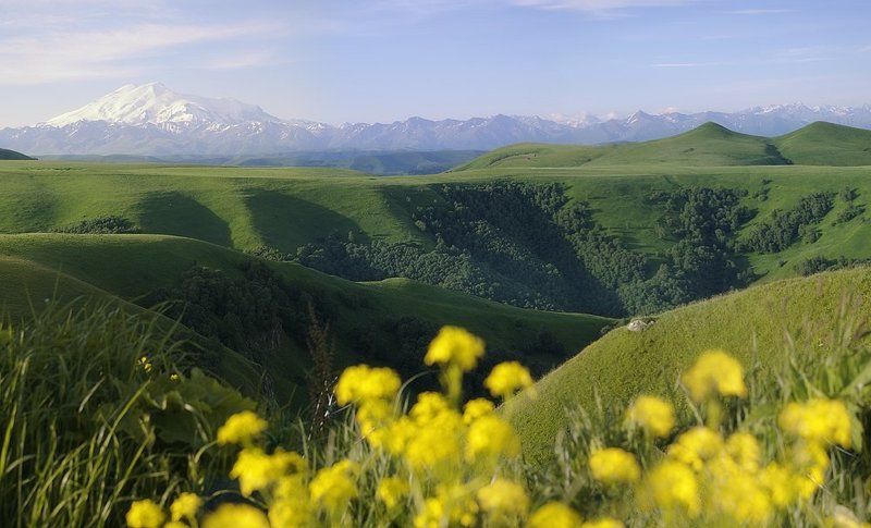 В дали светлые фото превью