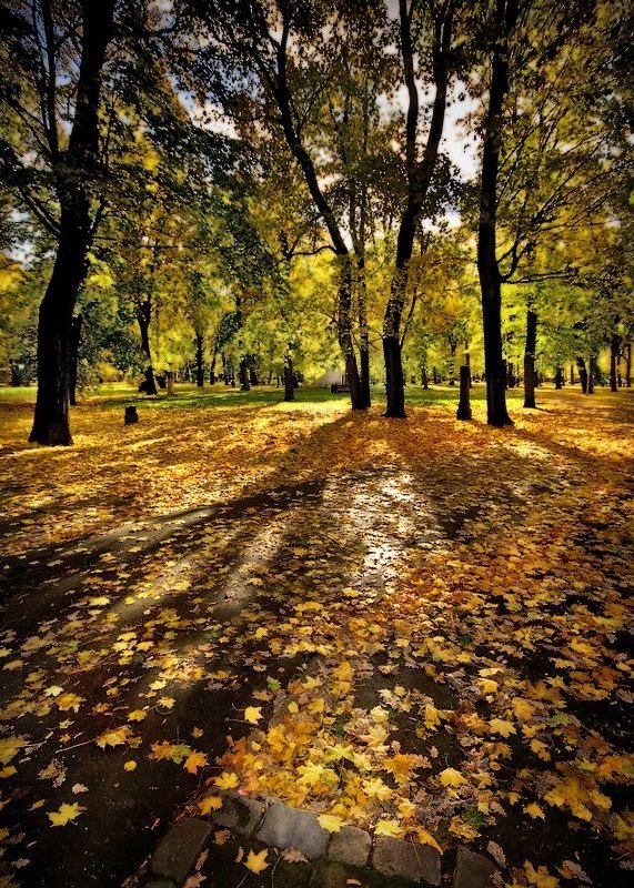 zibkiji teni фото превью