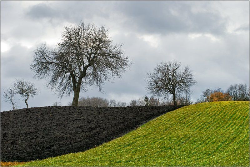 семья фото превью