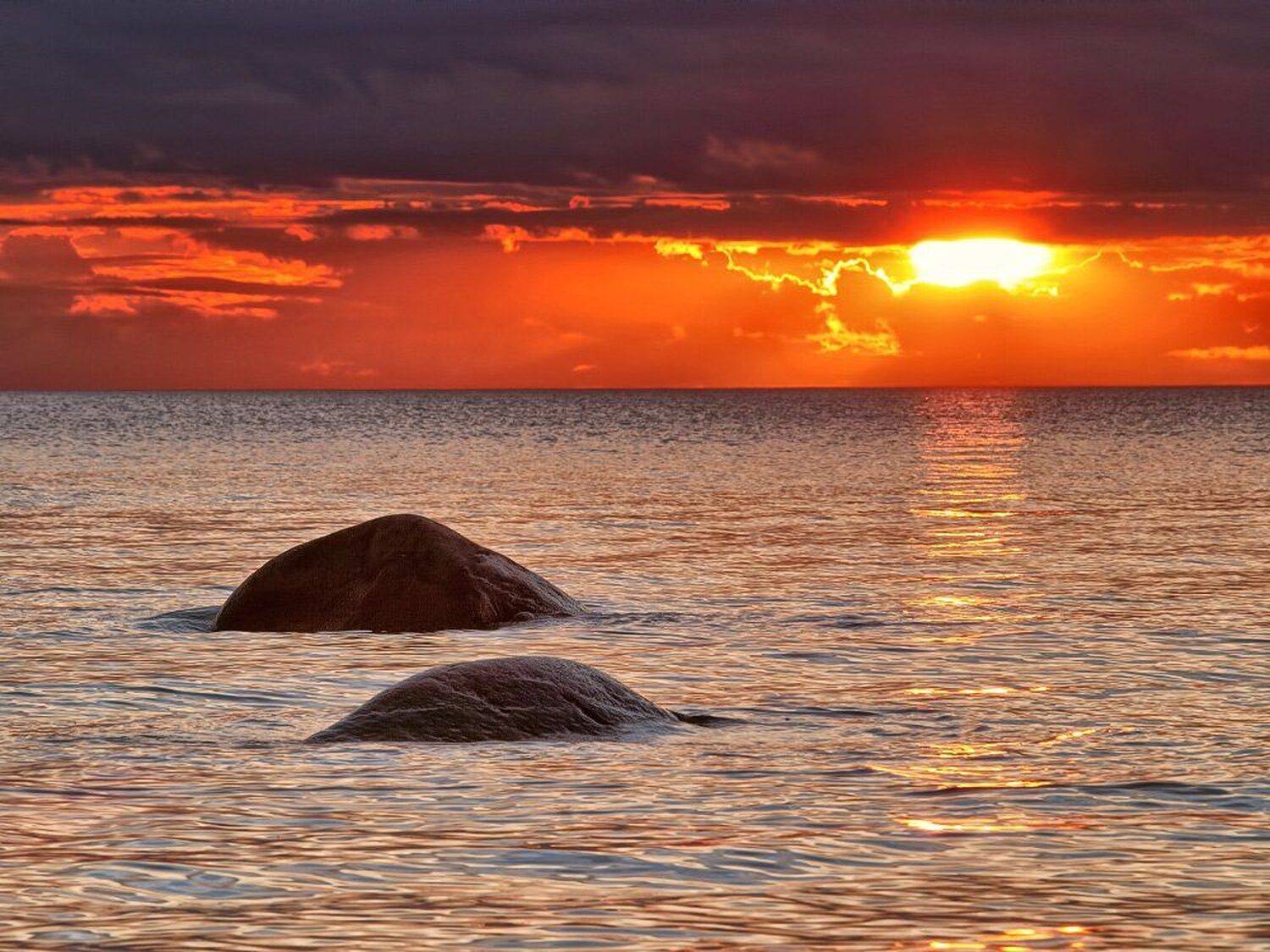 , Максим Евдокимов