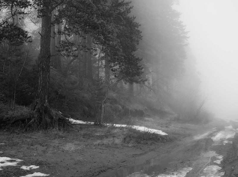 *** фото превью