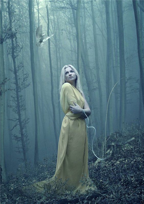 *** фото превью