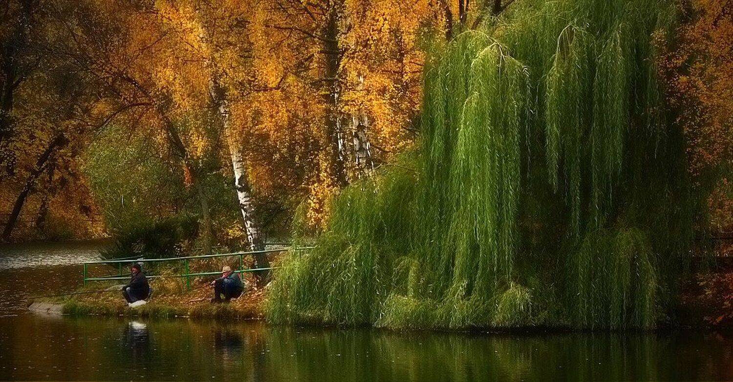 , Александр