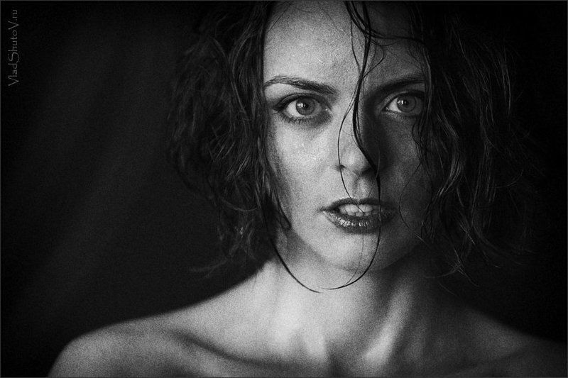 I did it my way фото превью