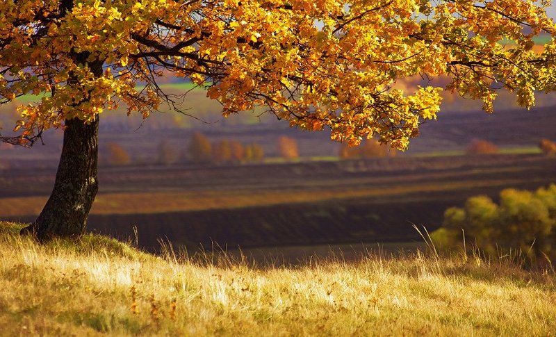 татария, canon 40d, sigma af 70-300 mm f/4-5.6 apo dg macro *** фото превью