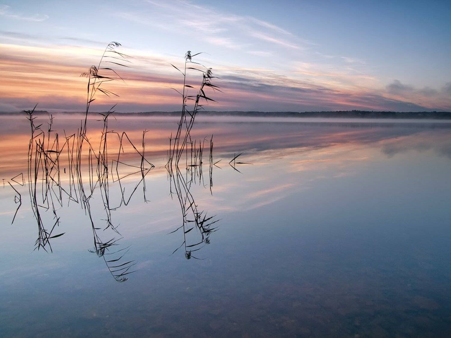 , Максим Евдокимов