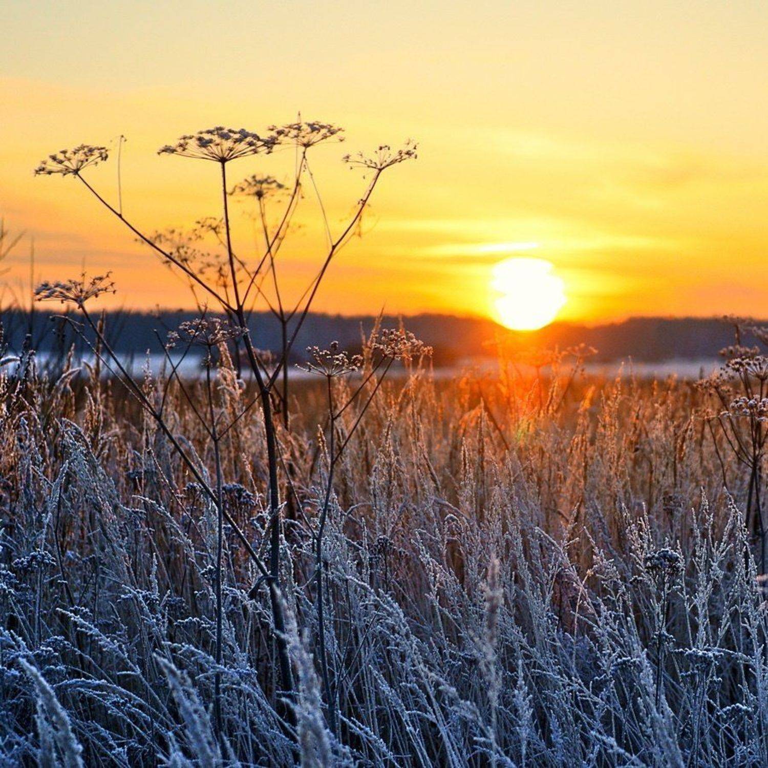 , Александр Виноградов