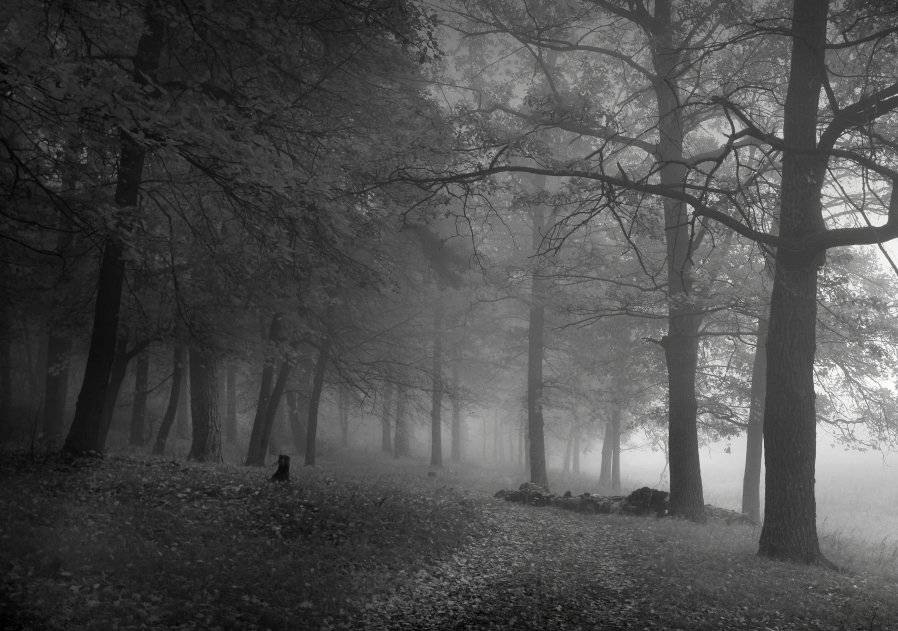 , Эдуард VTORNIK  Николаев