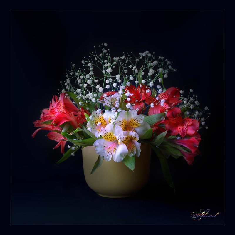 *** фото превью