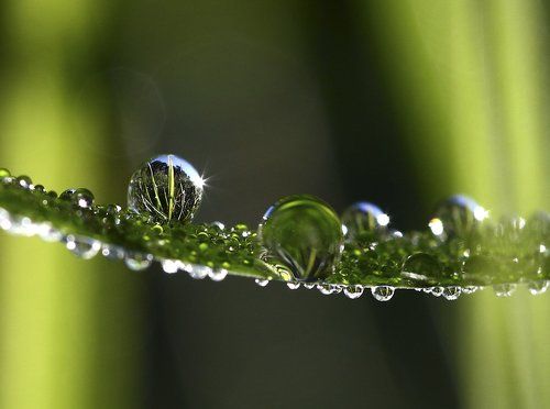 За кулисами