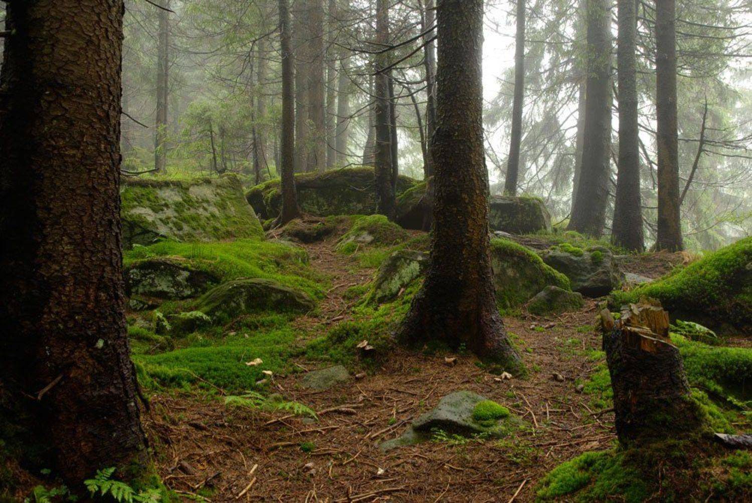 , Павел Лёушкин