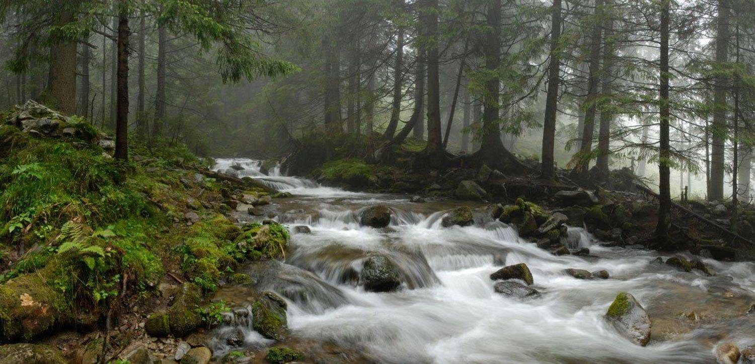 , Павел Лёушкин