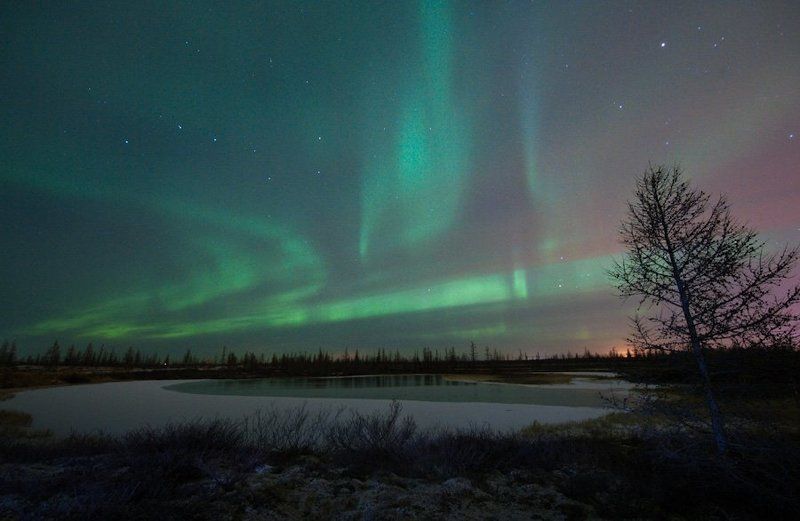 aurora borealis, северное сияние, природа, ночной пезаж, север Aurora Borealis#8 фото превью