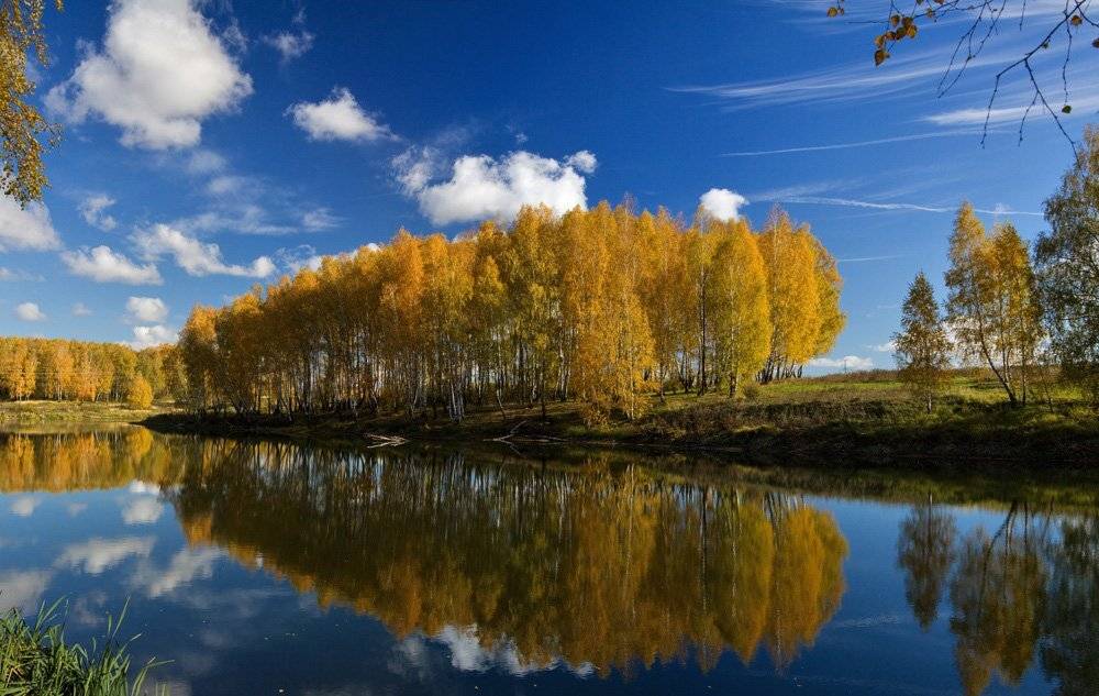 , Александр