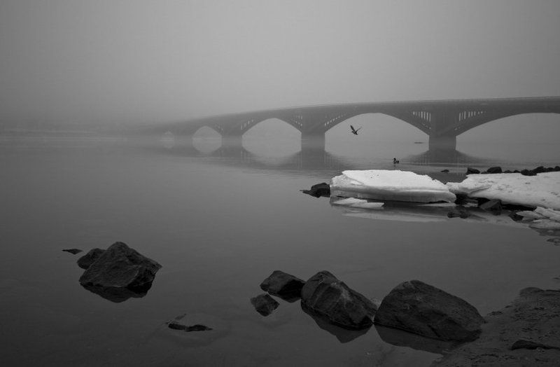 zen at the bridge фото превью