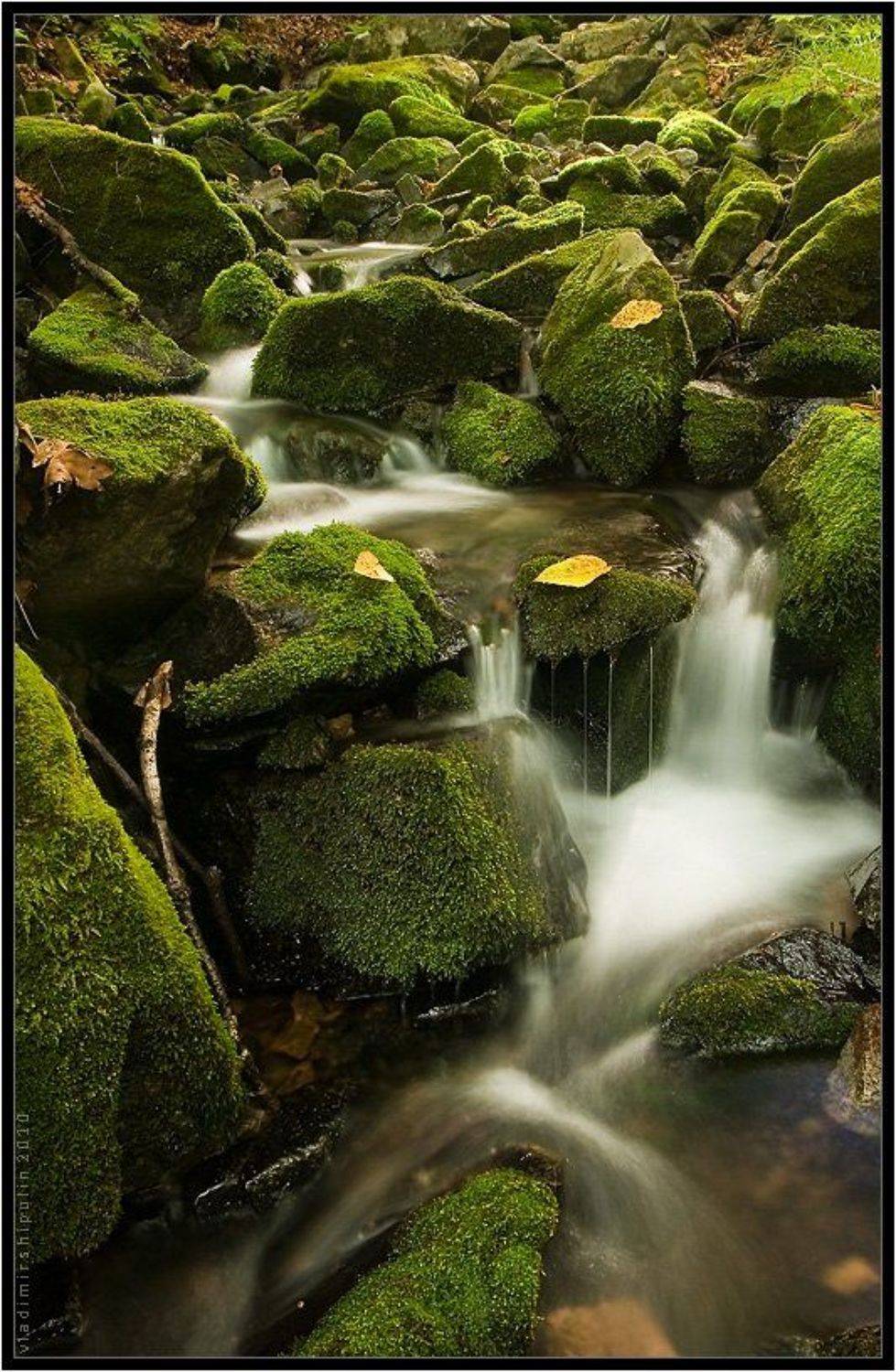 ручей,ручьи,природа,пейзаж,владимир,шипулин, Vladim_Shipulin