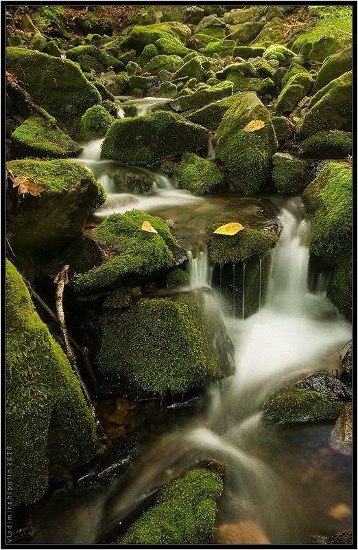 ручей,ручьи,природа,пейзаж,владимир,шипулин * * * фото превью