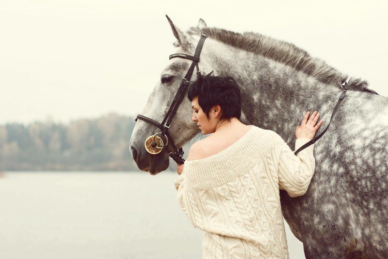 сливочный рассвет фото превью