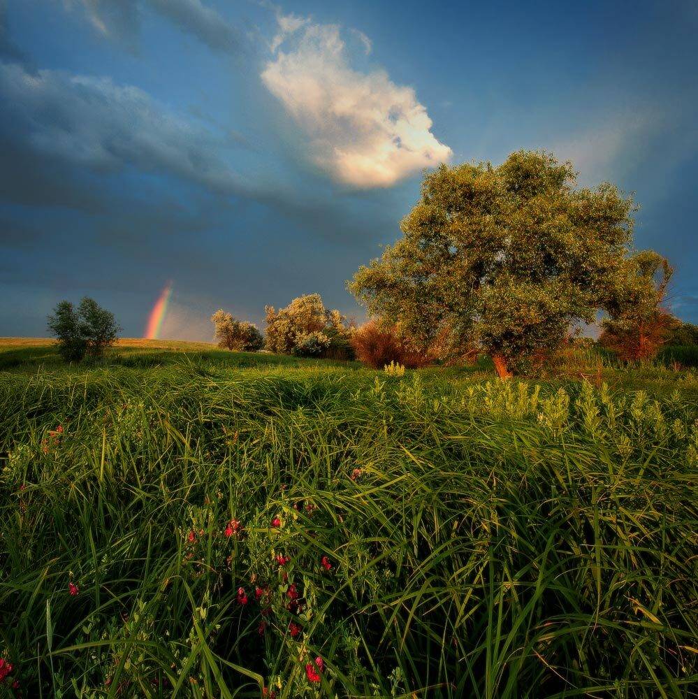 лето, радуга, вечер, Петриченко Валерий
