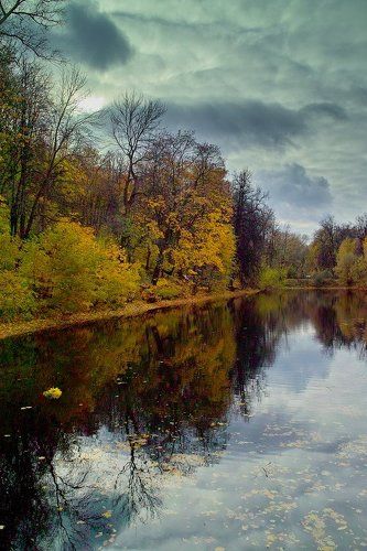 Осень на Андреевских прудах