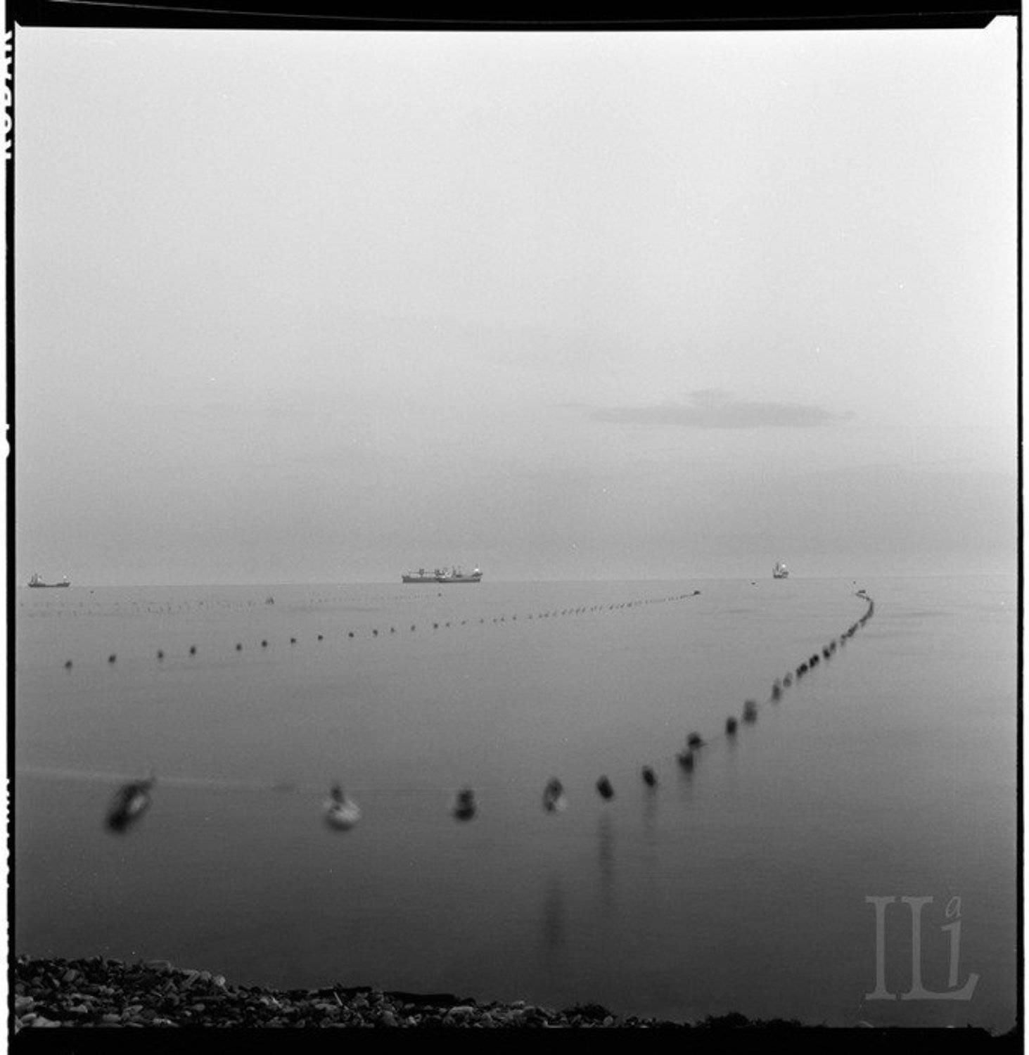 геленджик, Илья Панфилов