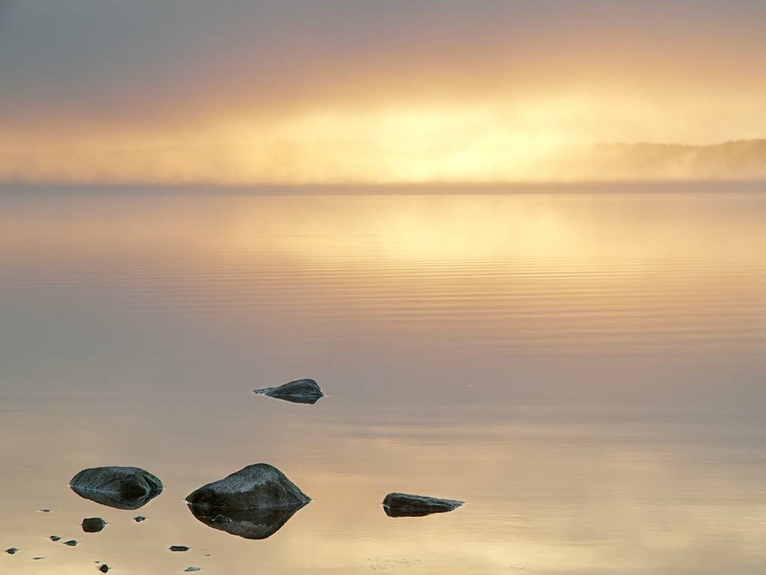 , Максим Евдокимов