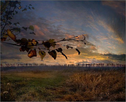 Эта осень... к нам с тобой пришла с картины. (из песни)