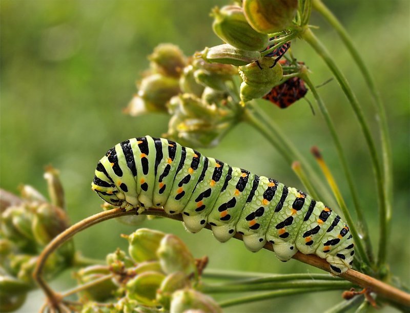 про водные процедуры :-) фото превью