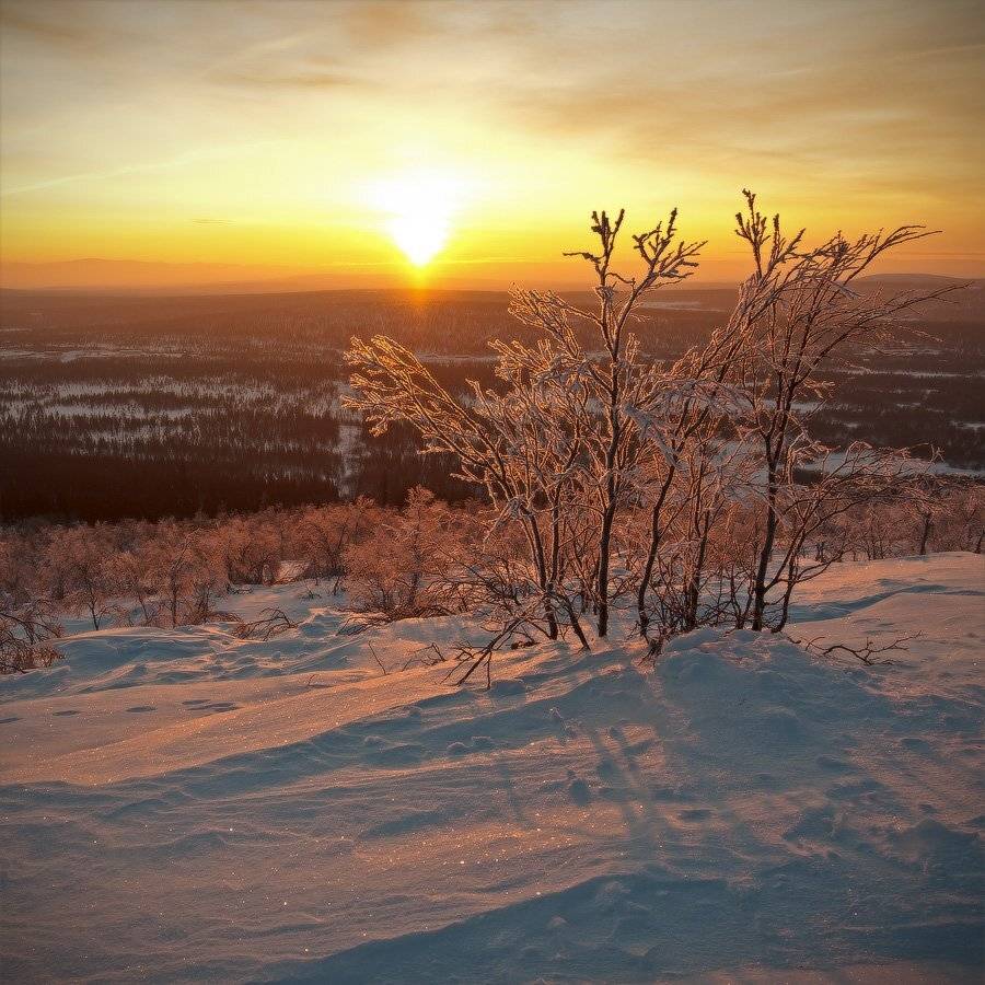 кольский, полуостров, зима, locus