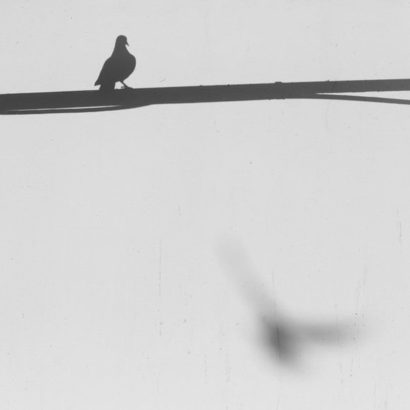 ... фото превью