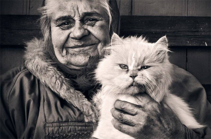 котэ, бабушка, Kopychko Mihail