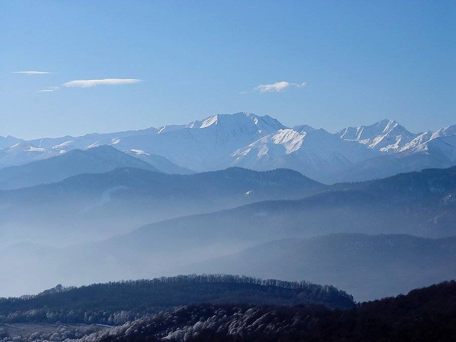 , Евгений Харланов