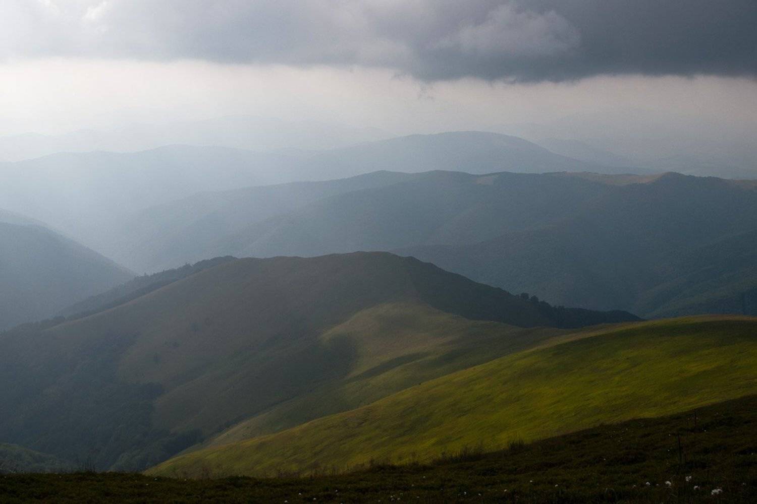 , Александр Ящук