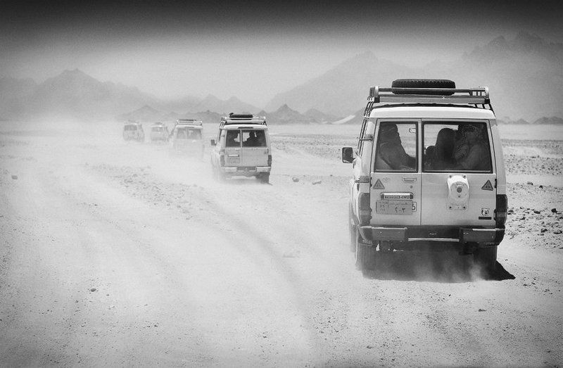 Аравийская фото превью