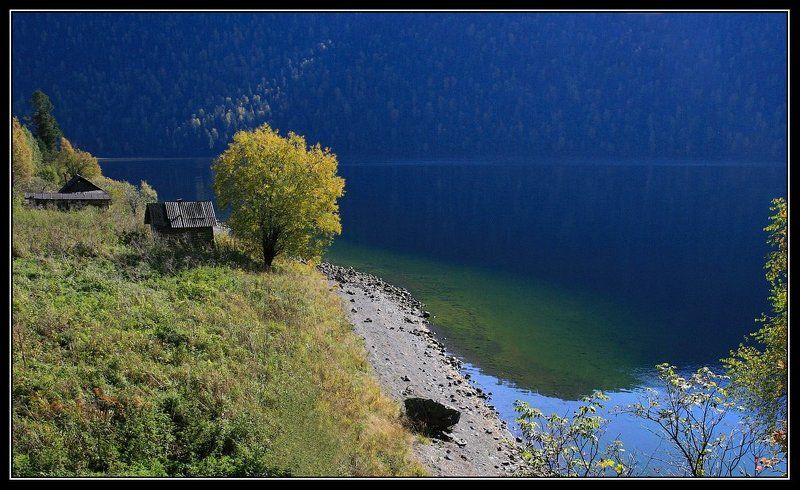 алтай, телецкое, озеро, камга Утро. фото превью