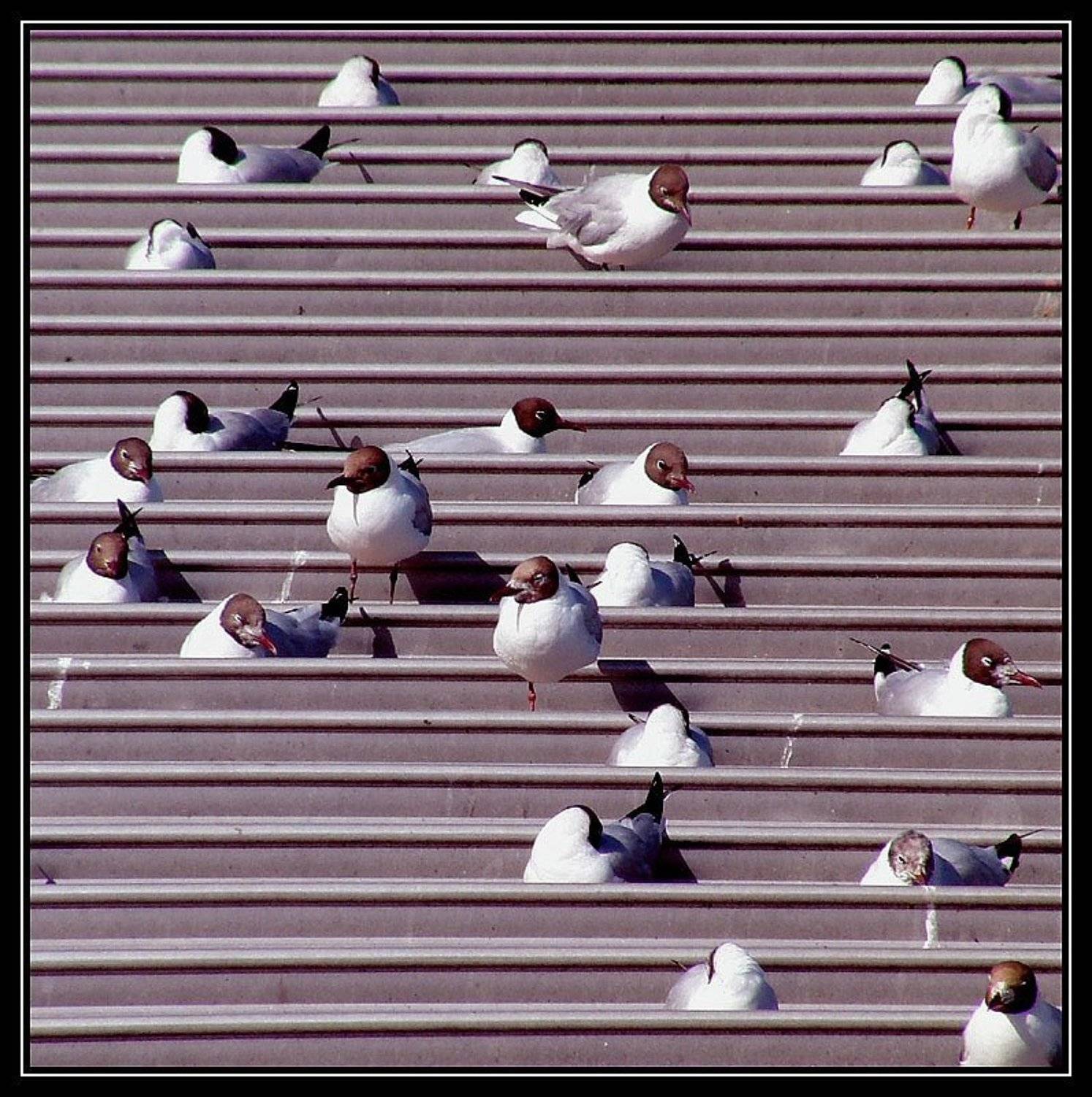 london,england, Yuri Malyshev