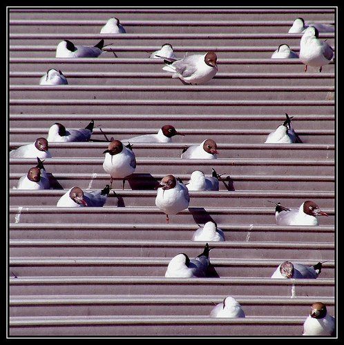 трибуны постепенно заполнялись....