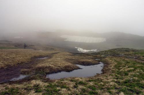ТУМАН...ВОДА...ЦВЕТОВ НЕМНОЖКО