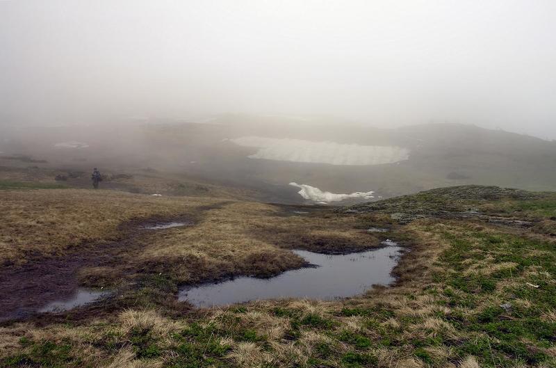 туман, вода, цветы, горы, утро, снег ТУМАН...ВОДА...ЦВЕТОВ НЕМНОЖКО фото превью