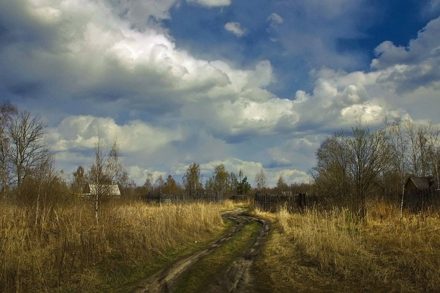 дорога, осень, дачи, Вячеслав