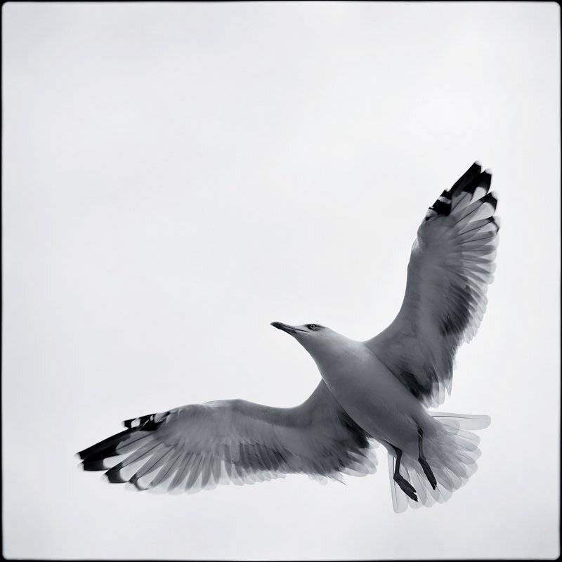 крым, кацивели, Лариса Гурьева