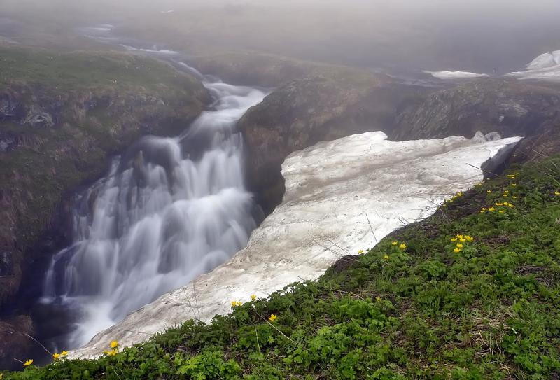снег, вода, цветы, туман ВРЕМЕНА  ГОДА фото превью