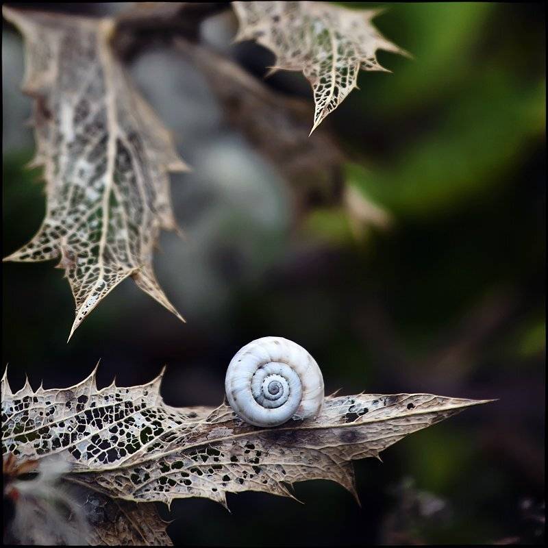 крым, кацивели, Лариса Гурьева