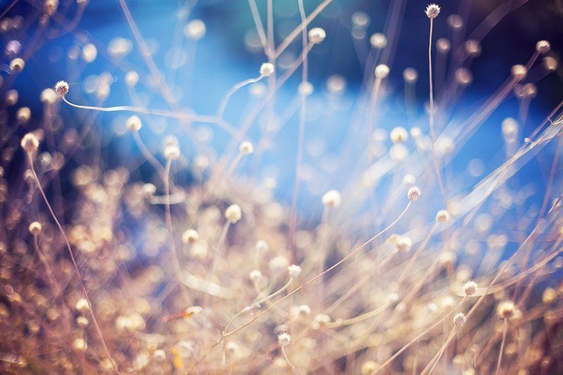 приглядись... фото превью